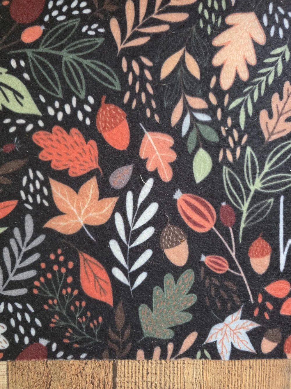Hello Fall Doormat - Black with Colorful Autumn Leaves Acorns